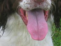 click for a larger view